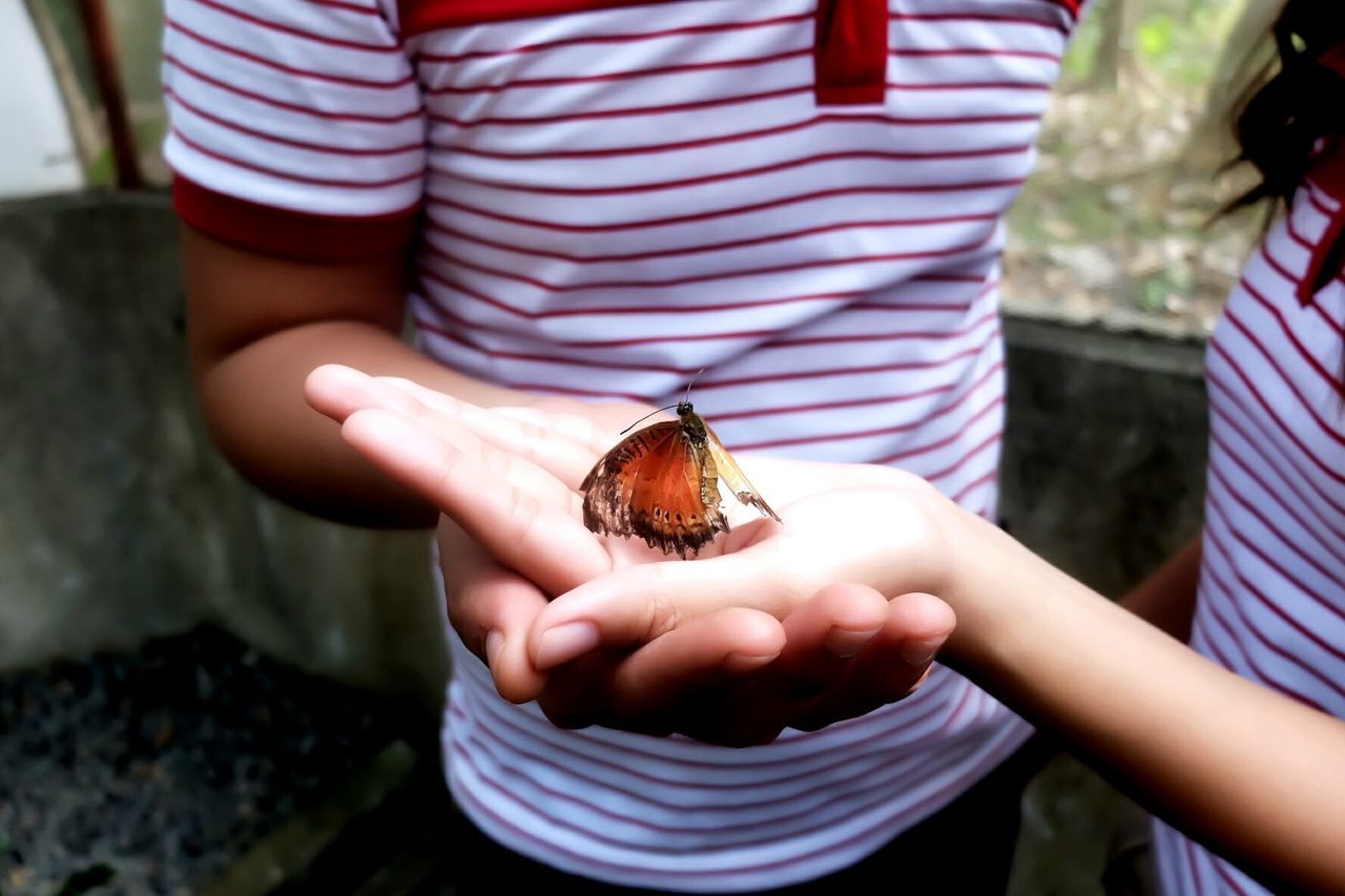 Close-up of couple holding butterfly