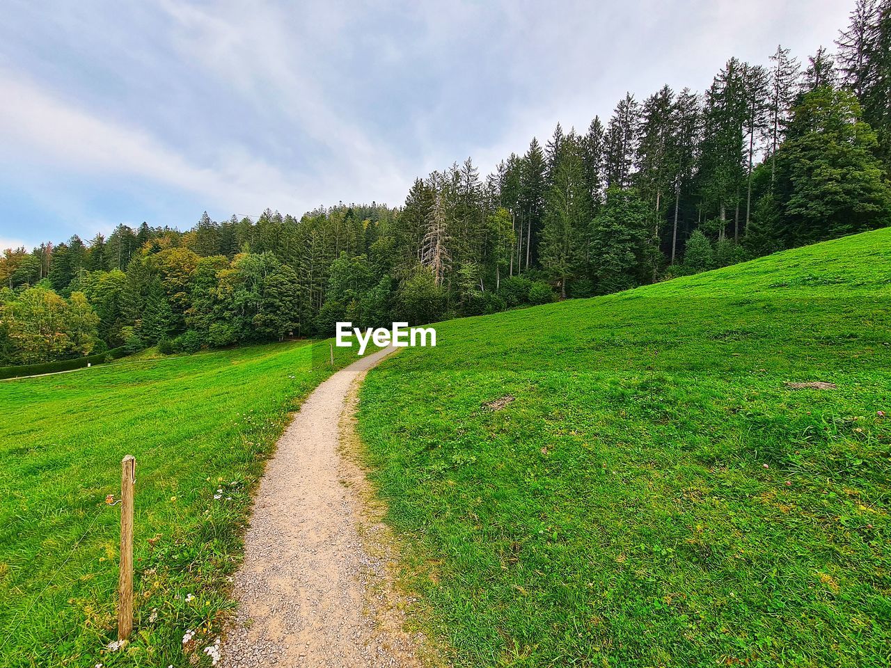 SCENIC VIEW OF TREES GROWING ON LANDSCAPE AGAINST SKY