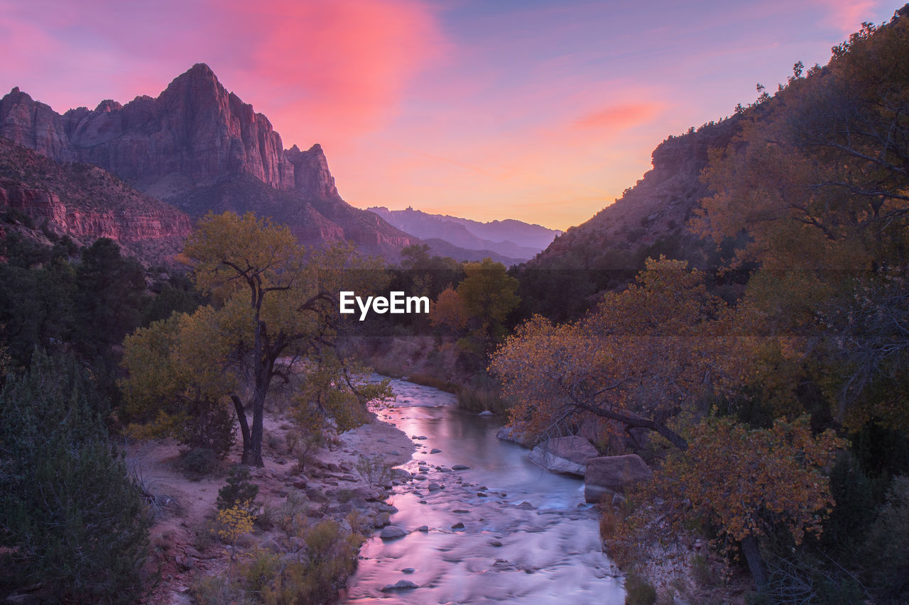 Natural landscape in autumn in the narrows at zion national park in usa at sunset  junction bridge