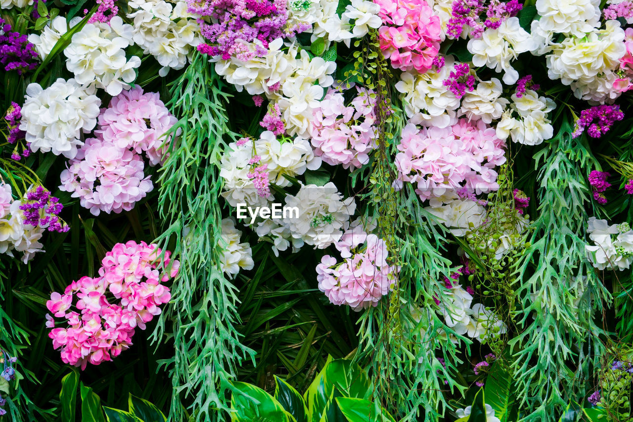 FULL FRAME SHOT OF PINK FLOWERING PLANTS