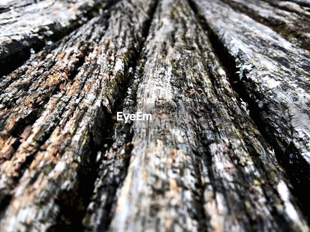 Full frame shot of weathered wood
