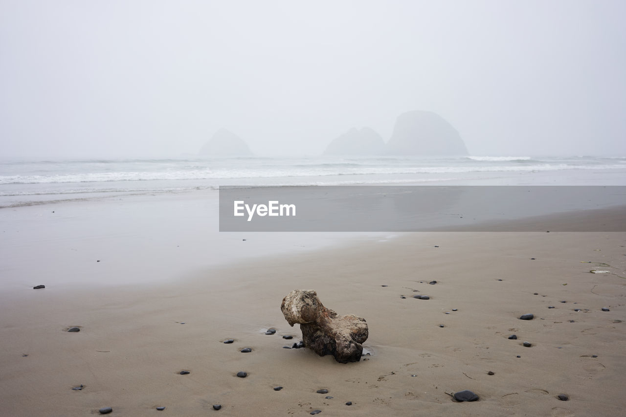 SCENIC VIEW OF BEACH