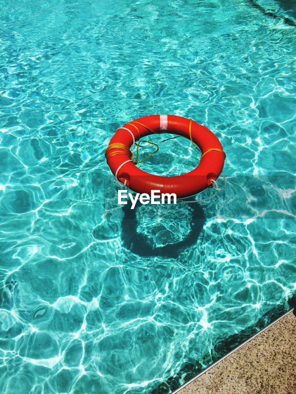 High angle view of red life belt floating on swimming pool