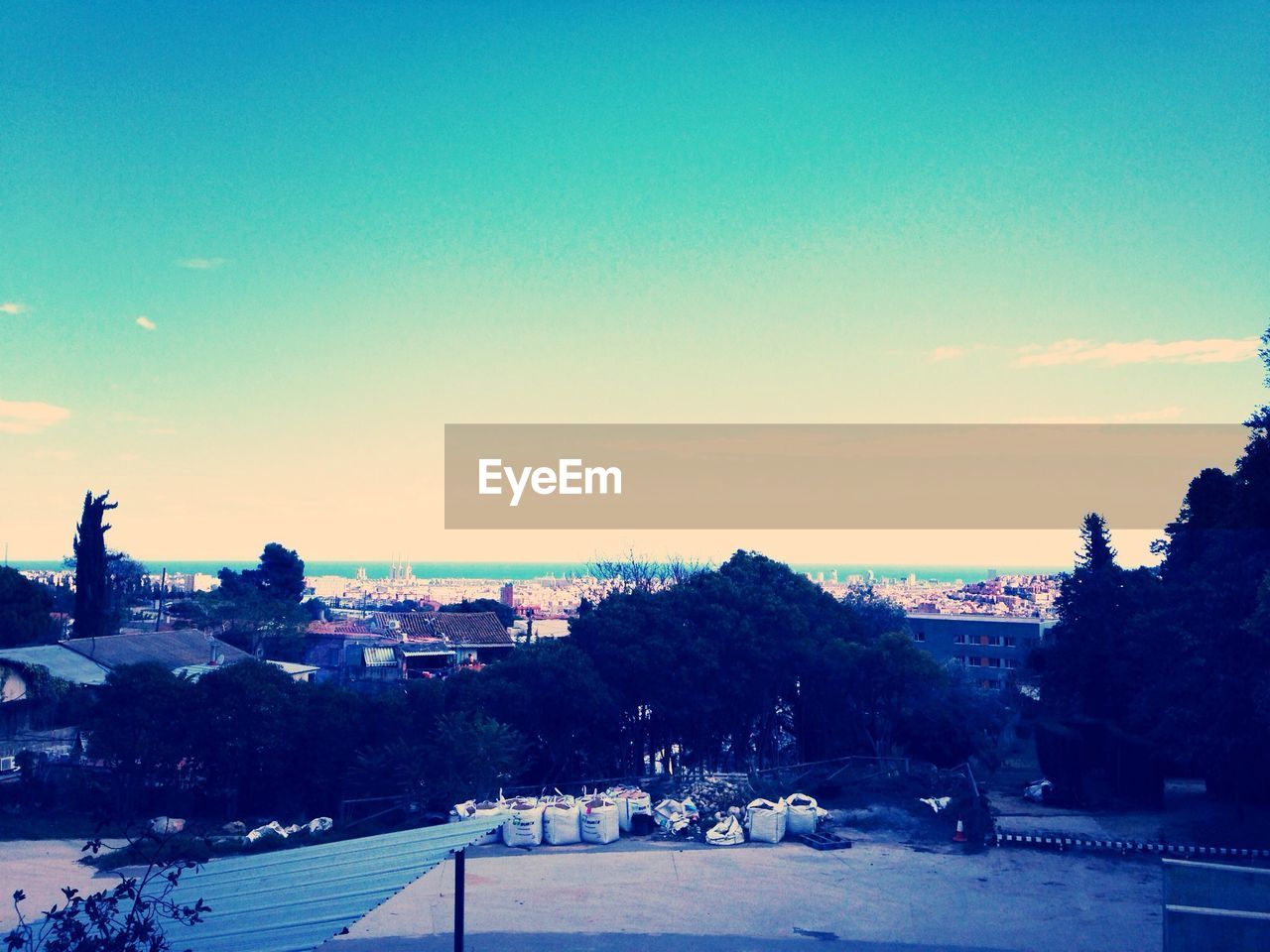 Trees and buildings against blue sky