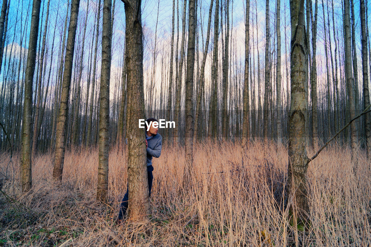 Full length of man looking away while standing by tree trunk in forest