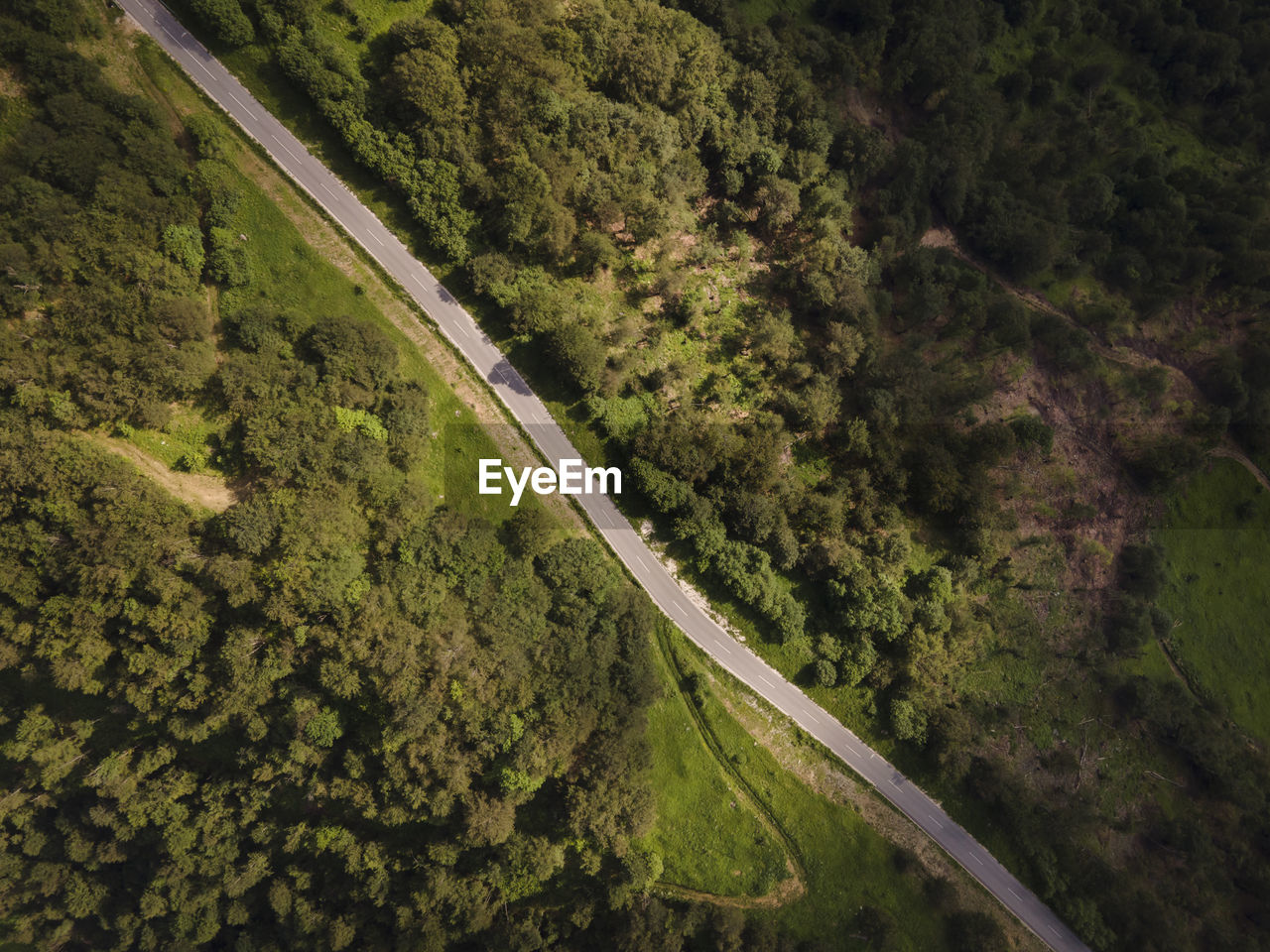 High angle view of road amidst trees in forest