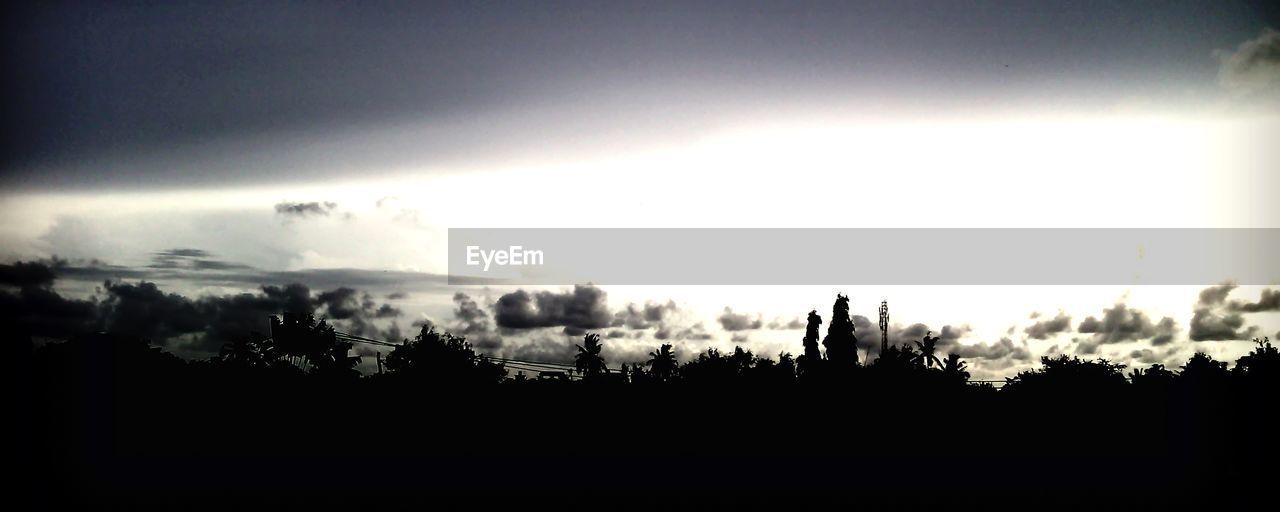 SILHOUETTE TREES ON FIELD AGAINST SKY