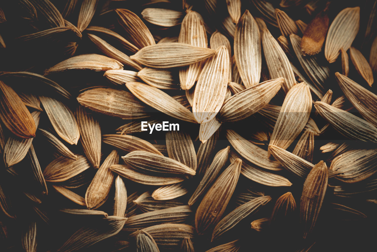 Full frame shot of seeds 