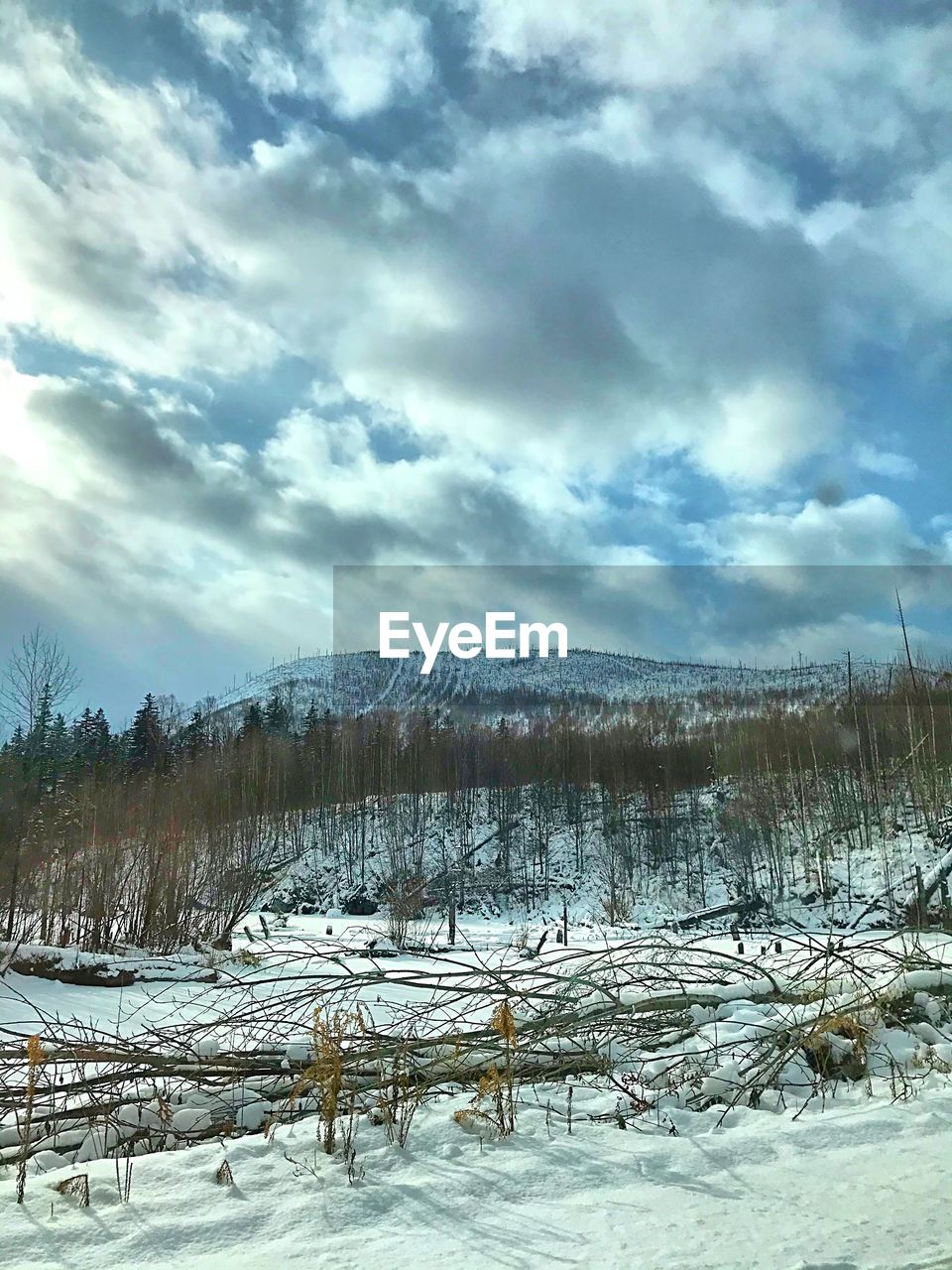 SCENIC VIEW OF SNOWY FIELD AGAINST SKY