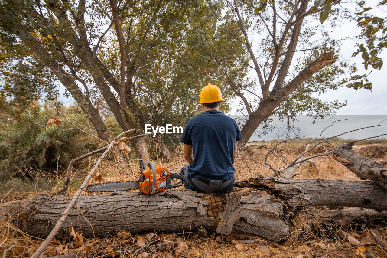 Rear view of man sitting on tree trunk with chainsaw in forest