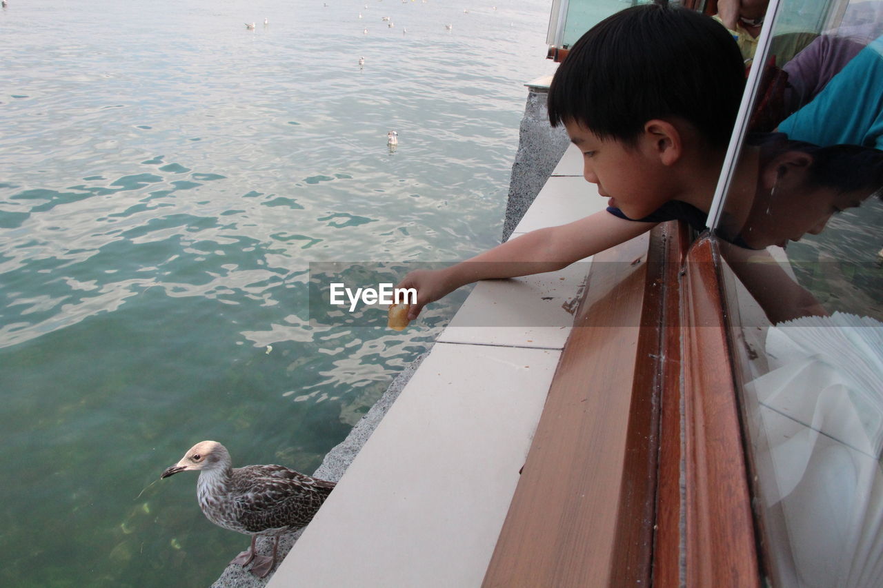 Girl feeding seagull on shore