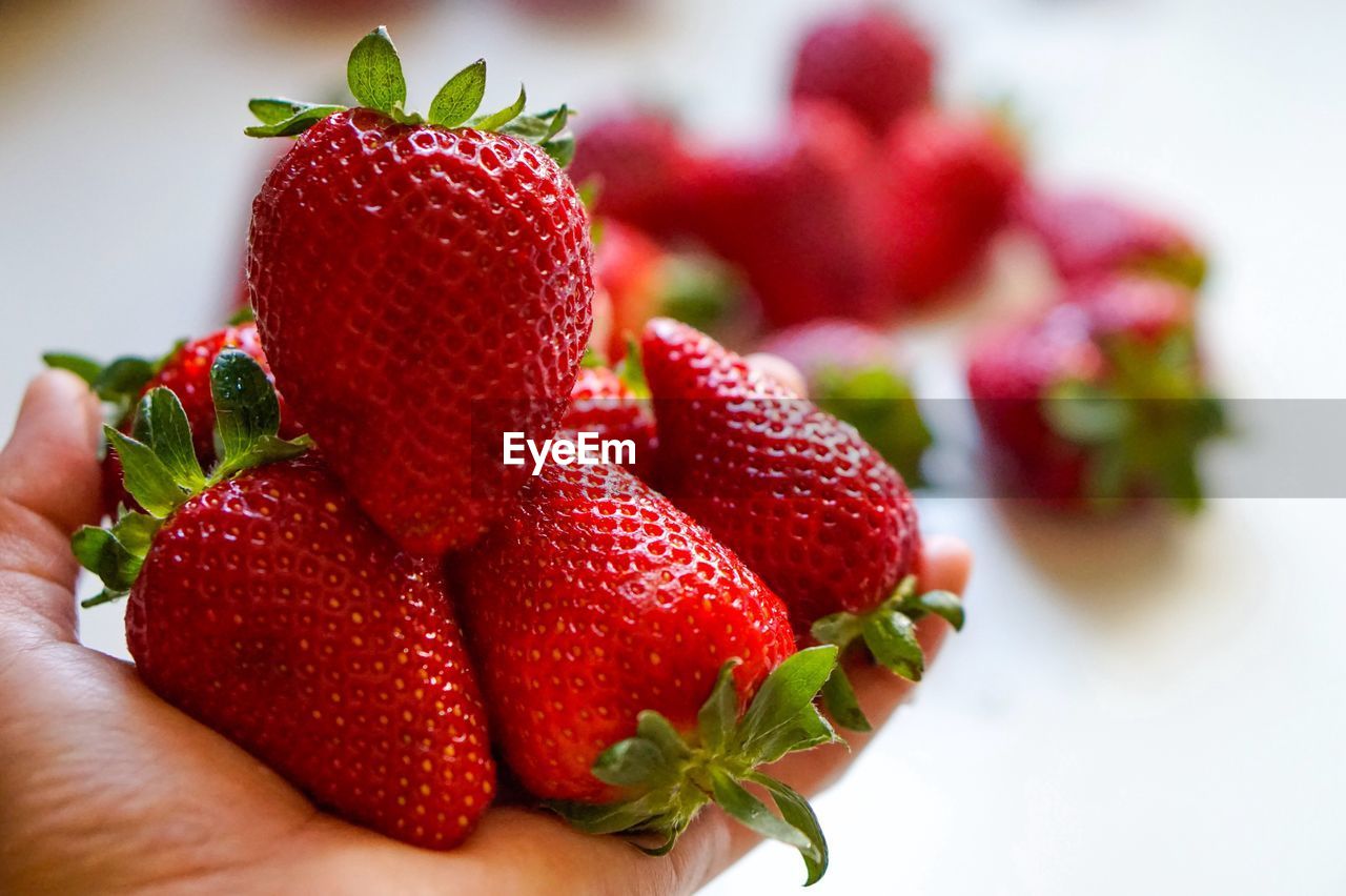 CLOSE-UP OF HAND HOLDING STRAWBERRY