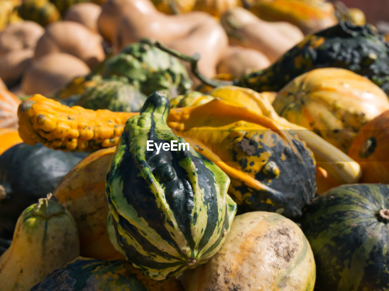 FULL FRAME SHOT OF PUMPKINS AT MARKET