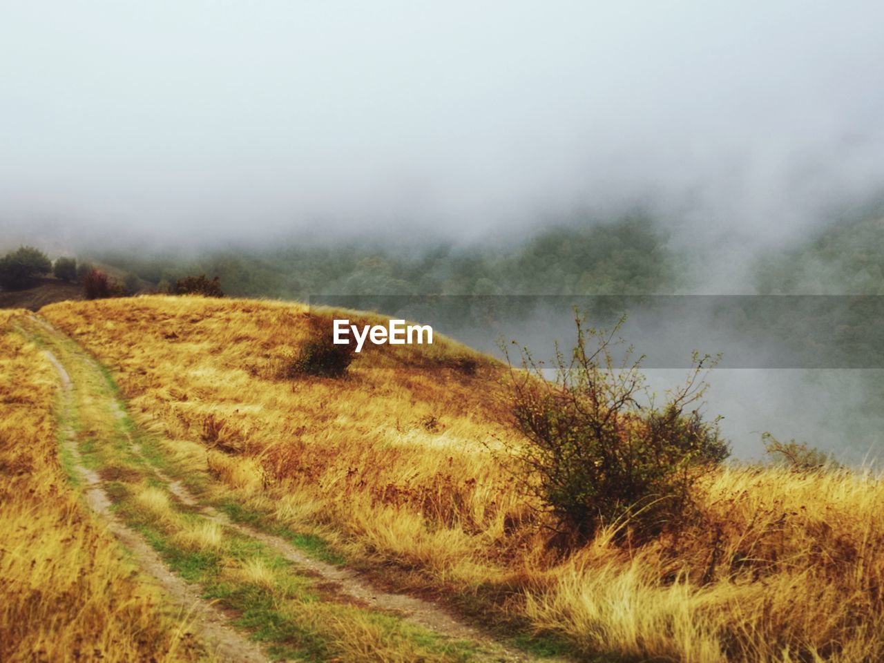 Scenic view of field against sky during foggy weather