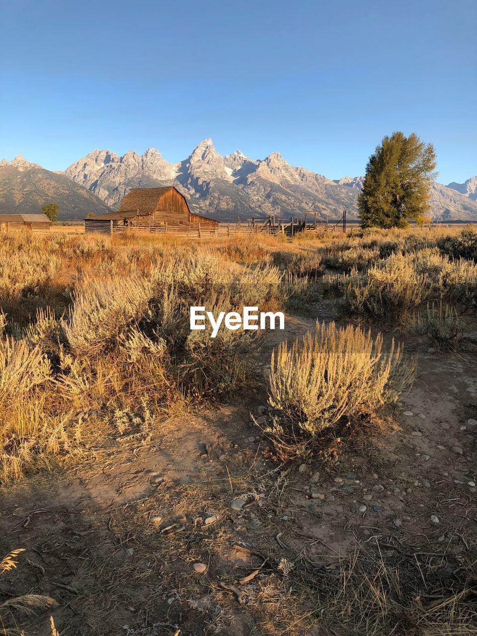 Scenic view of arid landscape against sky teton range 