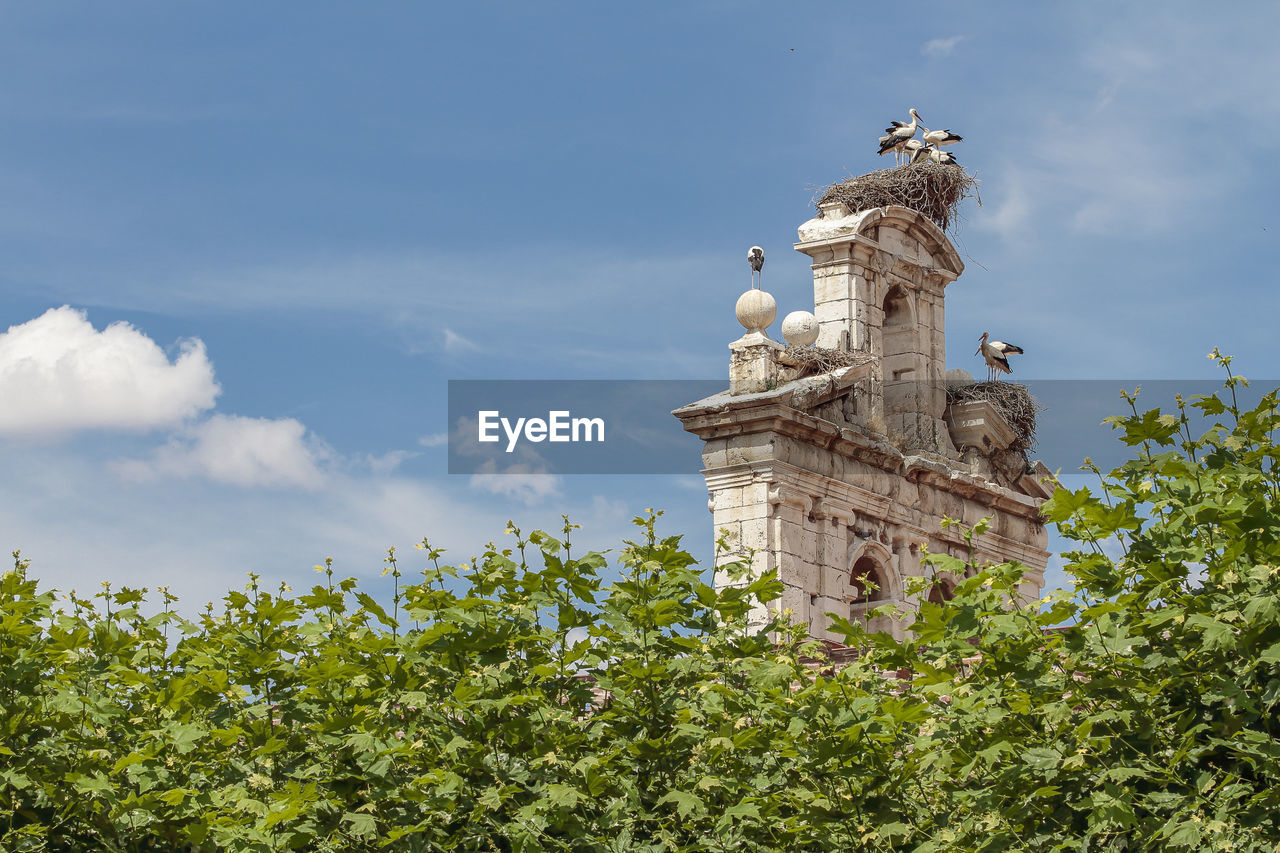 LOW ANGLE VIEW OF STATUES AGAINST SKY