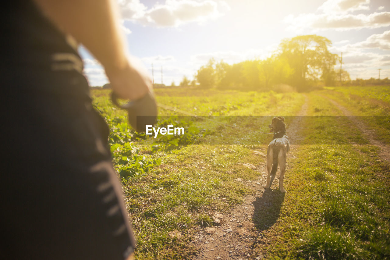 midsection of man standing on field against sky during sunset