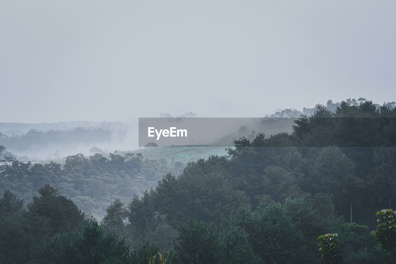 Scenic view of trees and mountains against sky