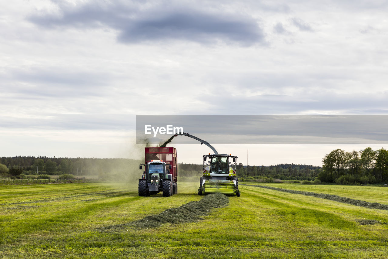 Forage harvester and tractor harvesting crops