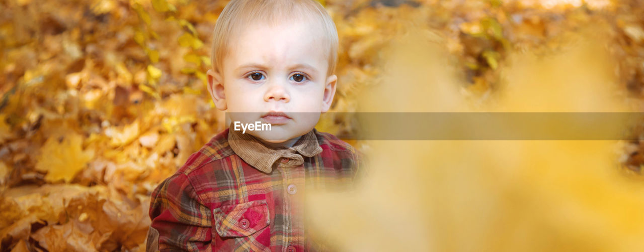 Cute boy against autumn leaves