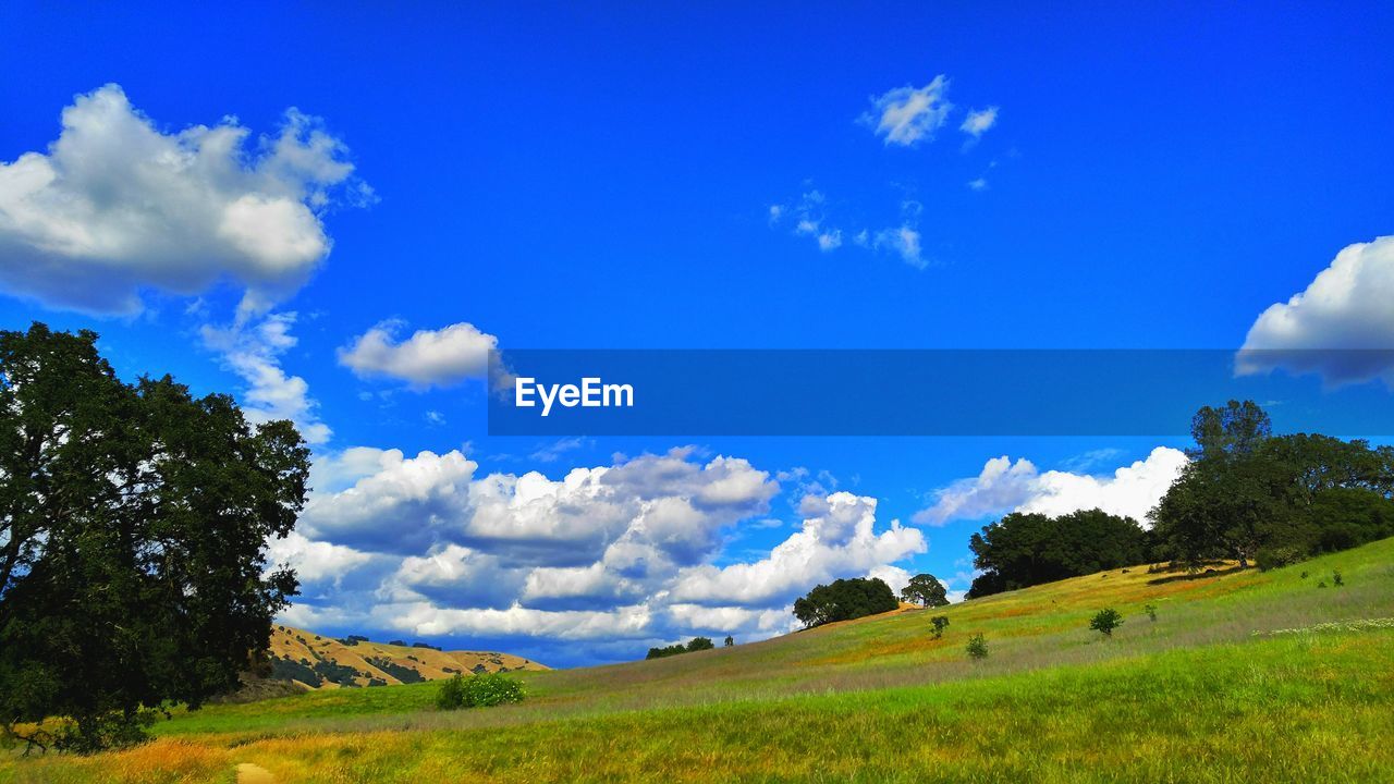 Scenic view of grassy field against cloudy sky