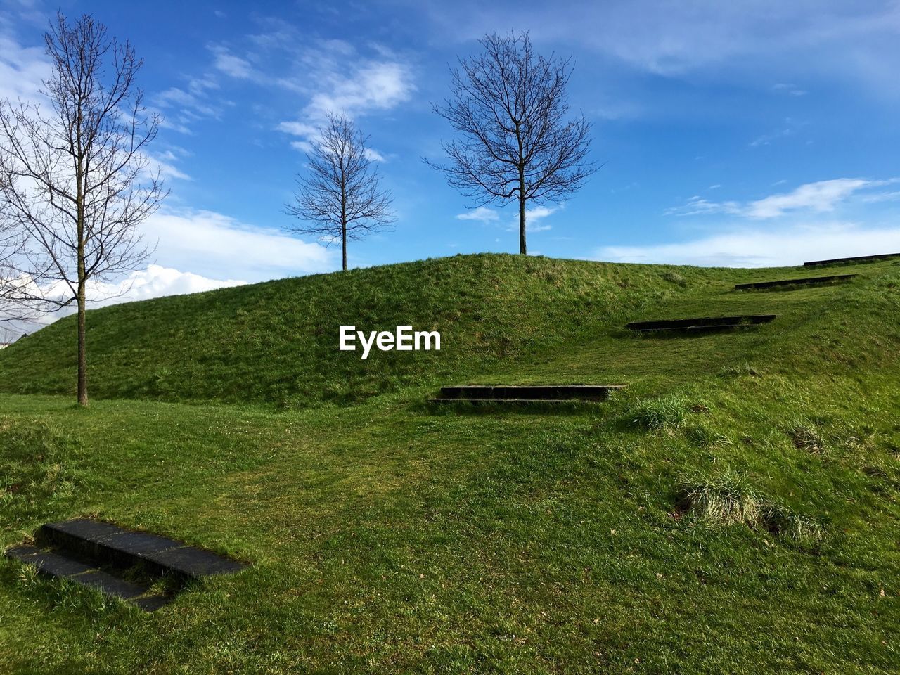 Steps on green landscape against sky