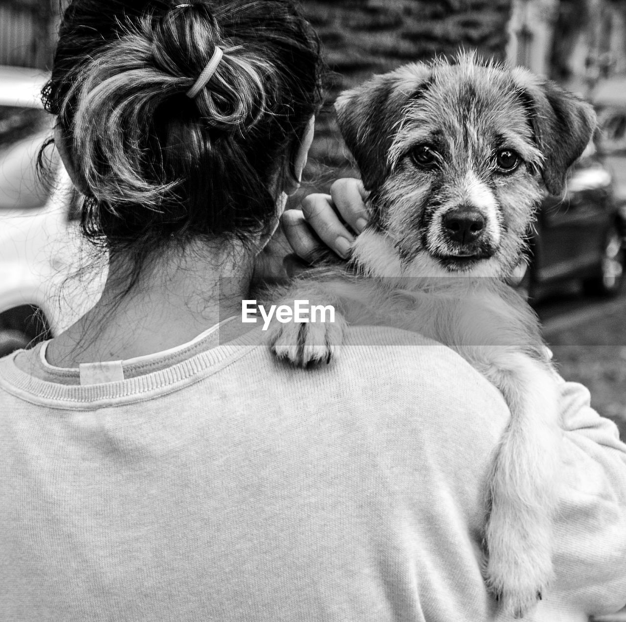 Rear view of woman with dog outdoors