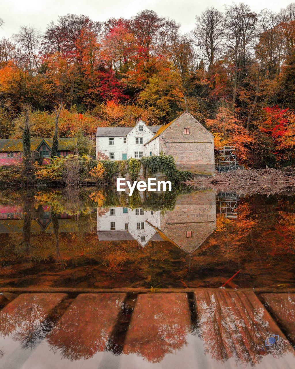 REFLECTION OF TREES ON LAKE DURING AUTUMN