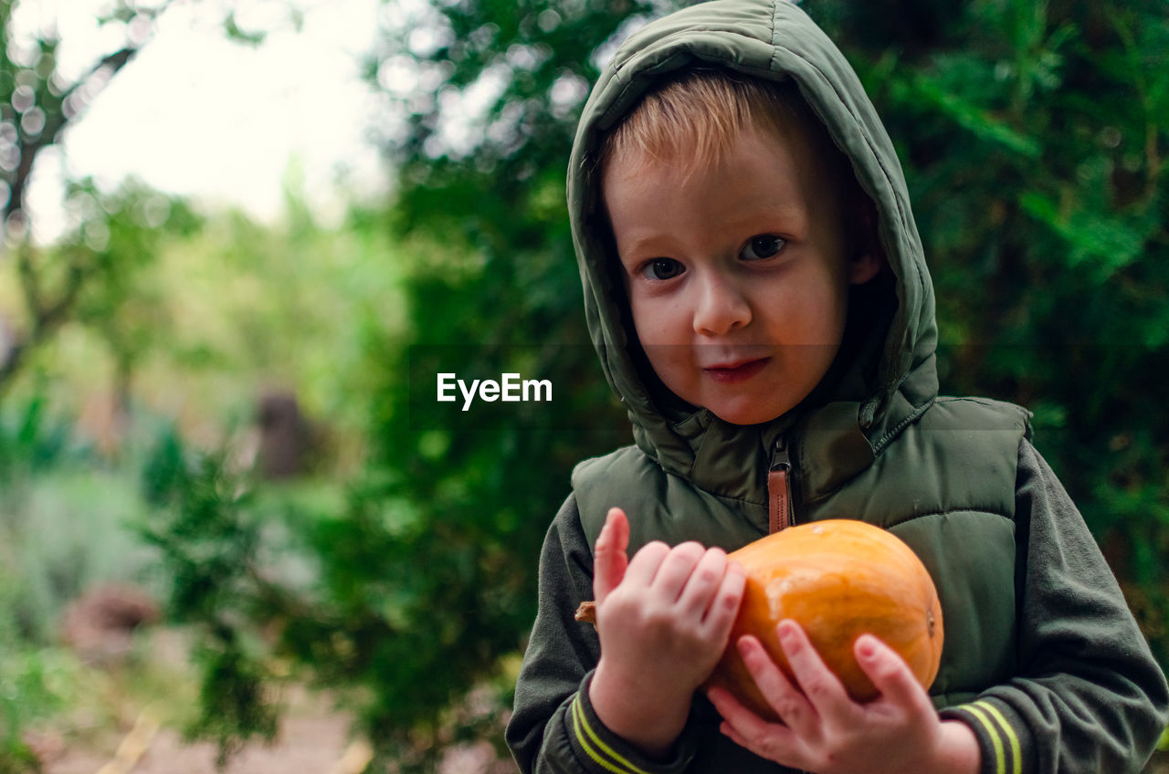 Little boy holds a pumpkin in his arm. harvesting and preparing for the halloween. 