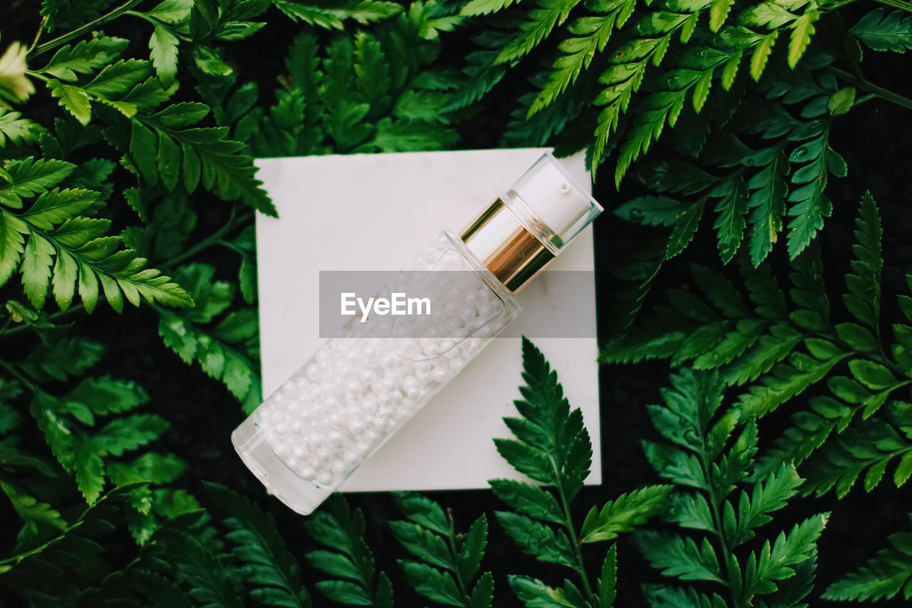 High angle view of moisturizer over green leaves