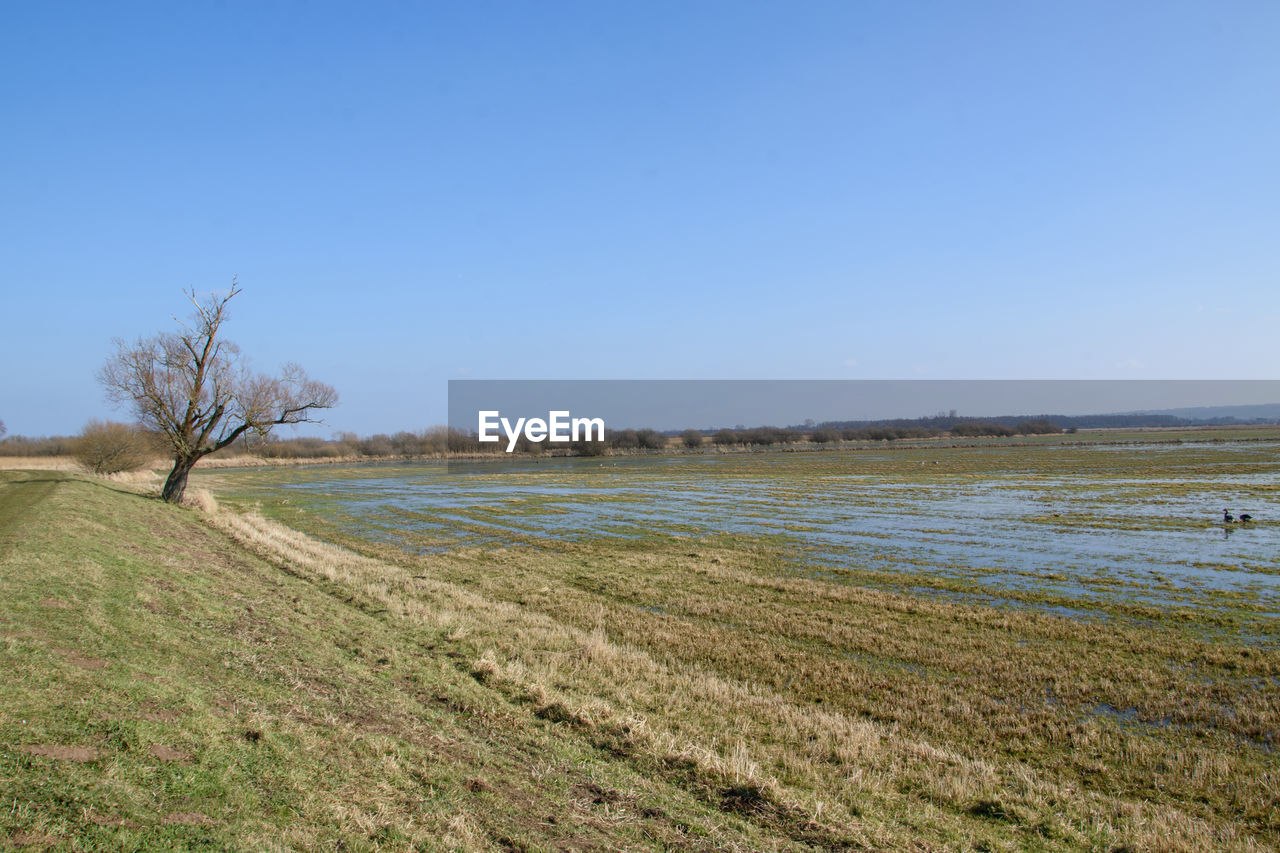 sky, natural environment, landscape, plant, land, environment, water, scenics - nature, marsh, nature, wetland, shore, clear sky, tranquility, grass, coast, beauty in nature, blue, tranquil scene, no people, sea, horizon, day, non-urban scene, prairie, hill, reservoir, sunny, tree, beach, outdoors, rural area, grassland, plain, copy space, travel destinations, travel, field, tourism, rural scene, remote