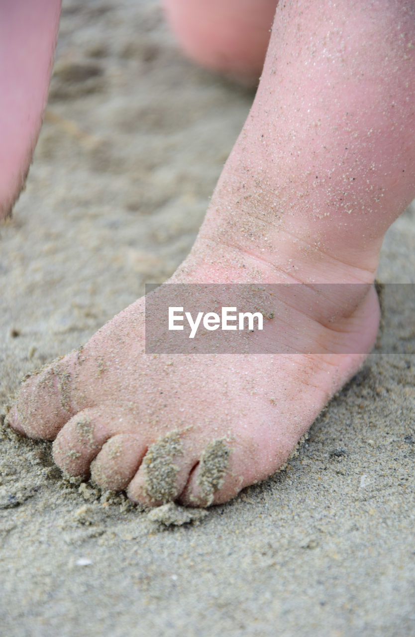 Cropped image of baby on sand at beach