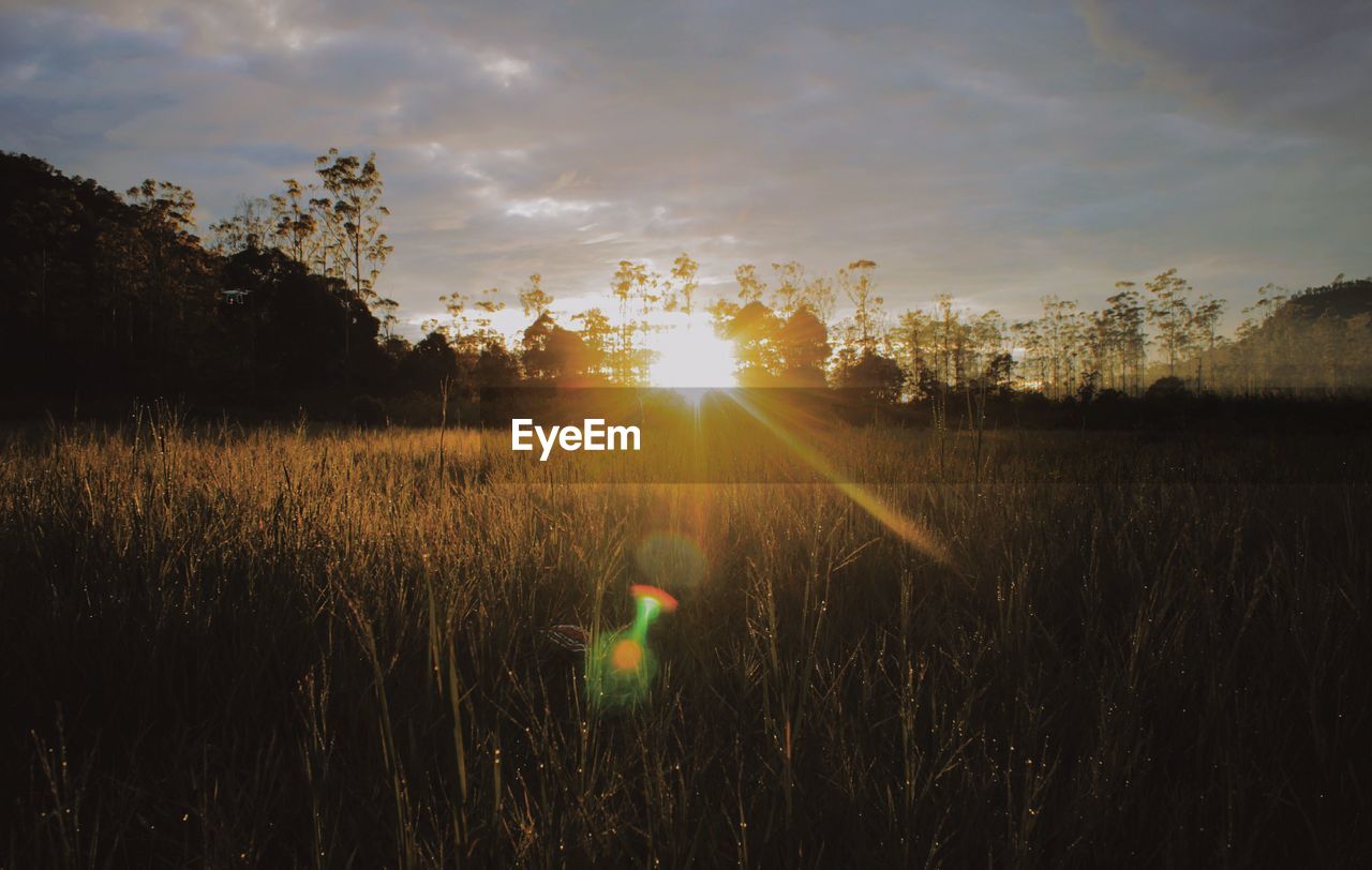 View of agricultural field against sky at sunset