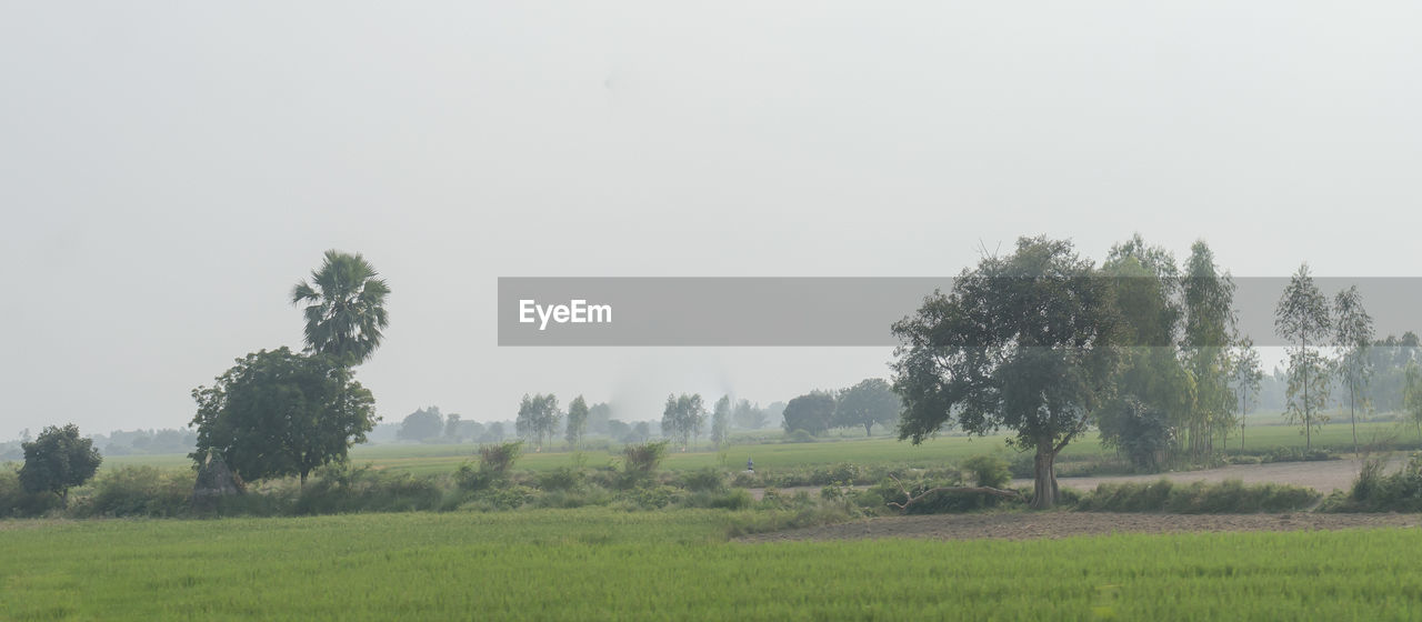 SCENIC VIEW OF FARM AGAINST SKY