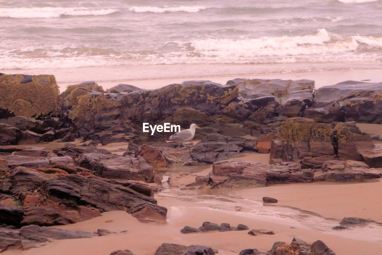 Rock formations at seaside