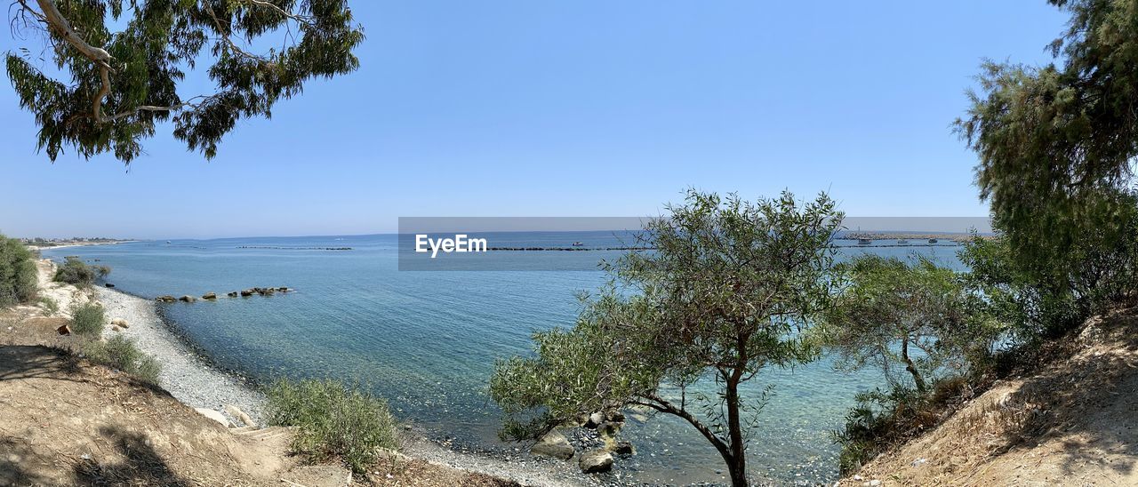 SCENIC VIEW OF BEACH AGAINST CLEAR SKY