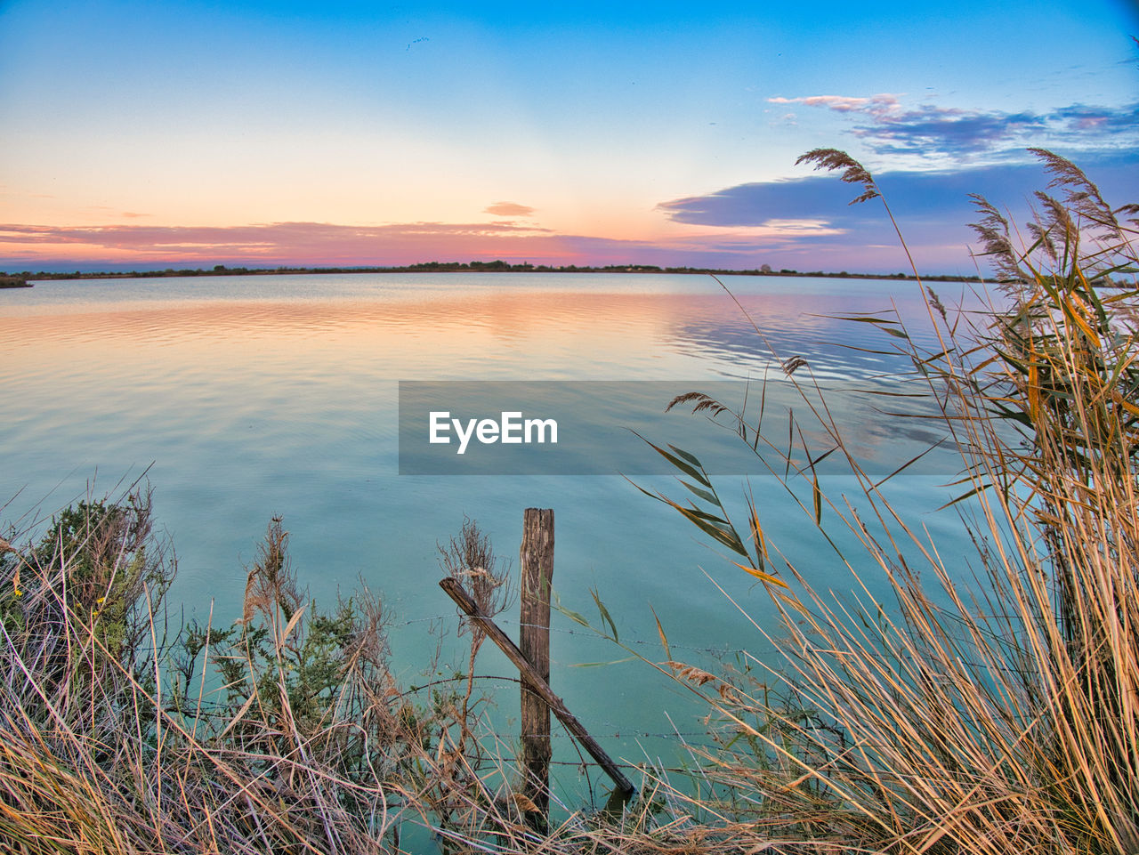 water, sky, reflection, nature, beauty in nature, scenics - nature, sea, tranquility, shore, morning, plant, tranquil scene, landscape, land, environment, beach, no people, grass, cloud, horizon, sunrise, coast, travel destinations, blue, dawn, travel, outdoors, animal wildlife, idyllic, ocean, non-urban scene, sunlight, animal, sun, horizon over water, wetland, body of water, tourism, tree, animal themes, seascape, twilight, coastline, day, natural environment, reed, dramatic sky, marsh, lagoon