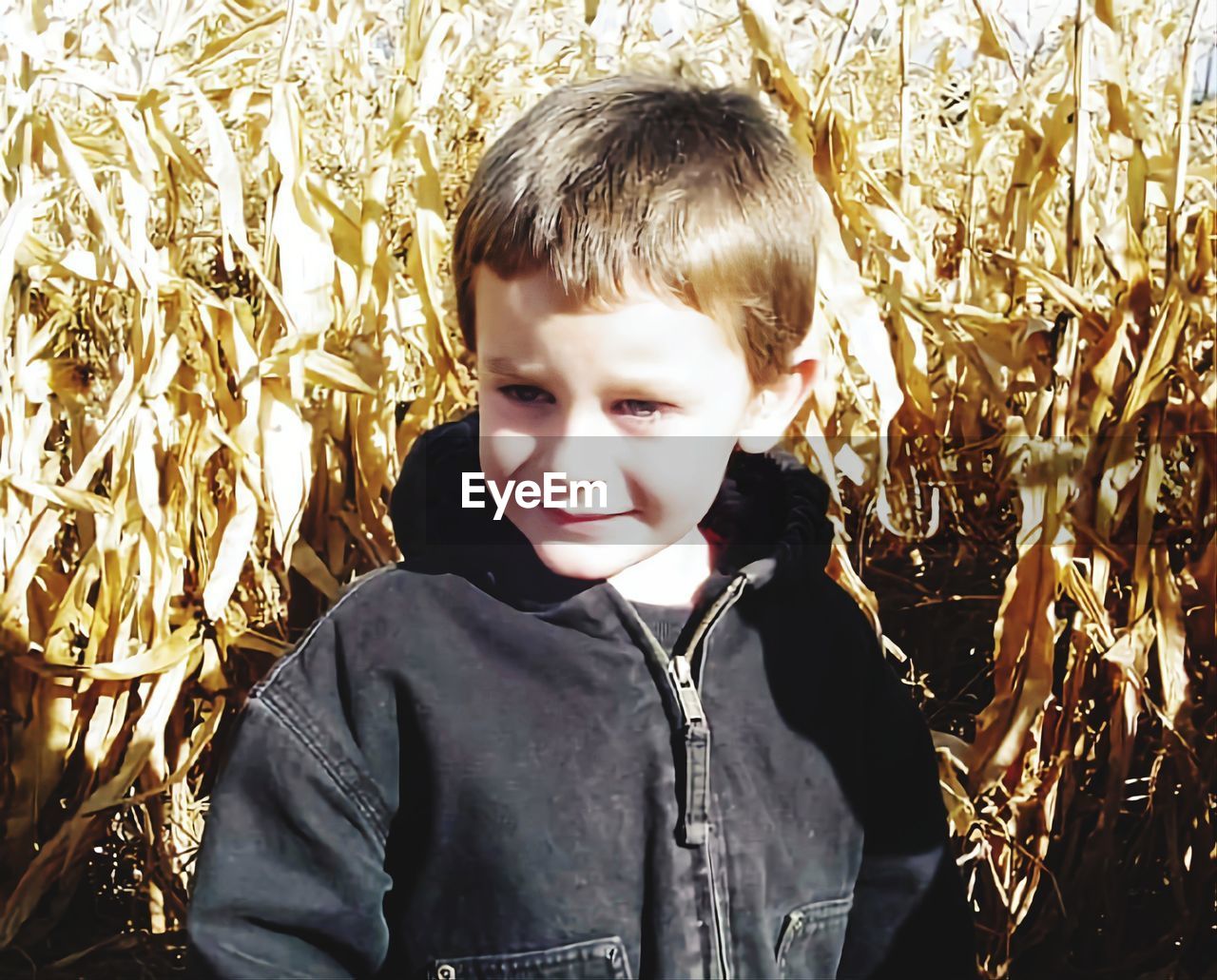 childhood, child, one person, men, portrait, field, nature, plant, land, front view, smiling, sunlight, day, casual clothing, leisure activity, standing, outdoors, waist up, looking at camera, autumn, spring, innocence, lifestyles, growth, corn, happiness, cereal plant, blond hair, emotion, crop, rural scene, headshot, agriculture, food, looking, cute, jacket