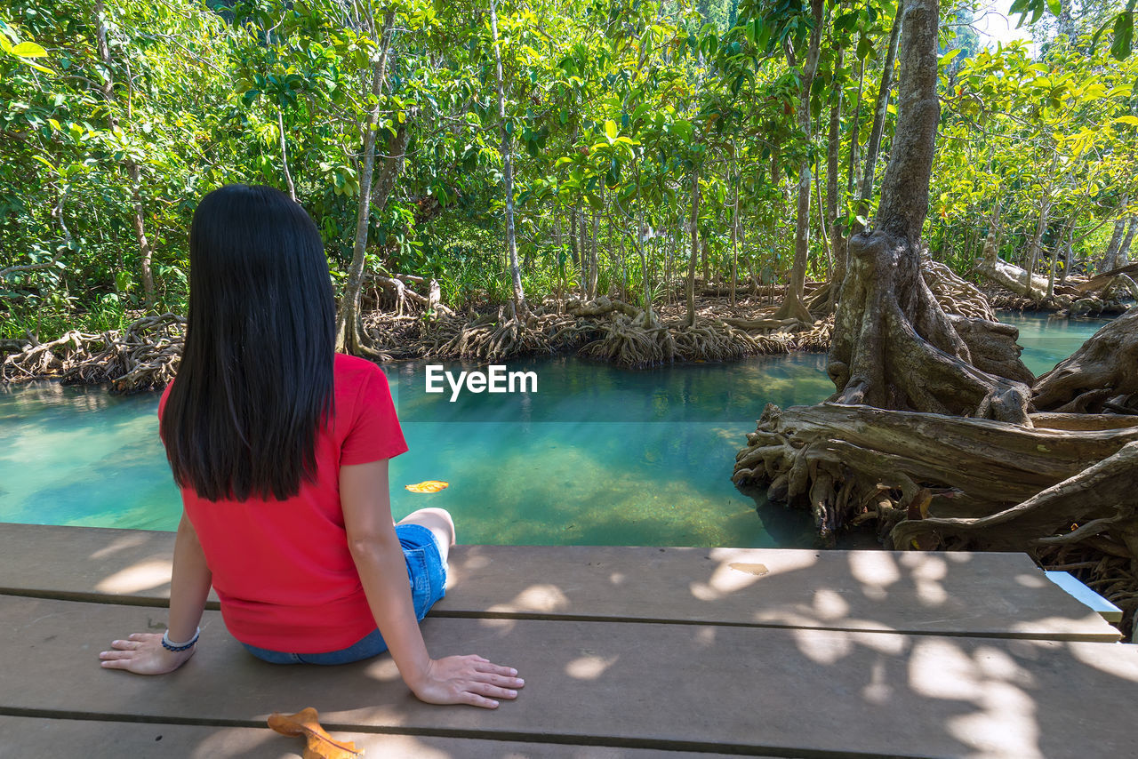 Rear view of woman sitting on footbridge over pond