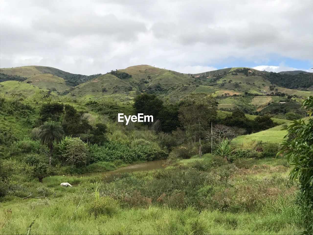 SCENIC VIEW OF GREEN LANDSCAPE AND MOUNTAINS AGAINST SKY