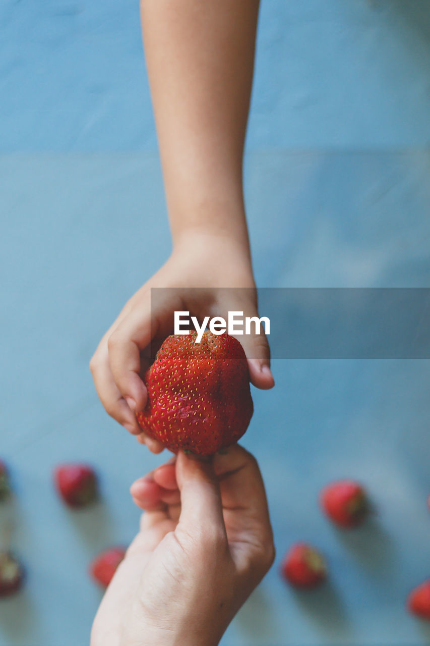 Directly above shot of cropped hands holding strawberry at home