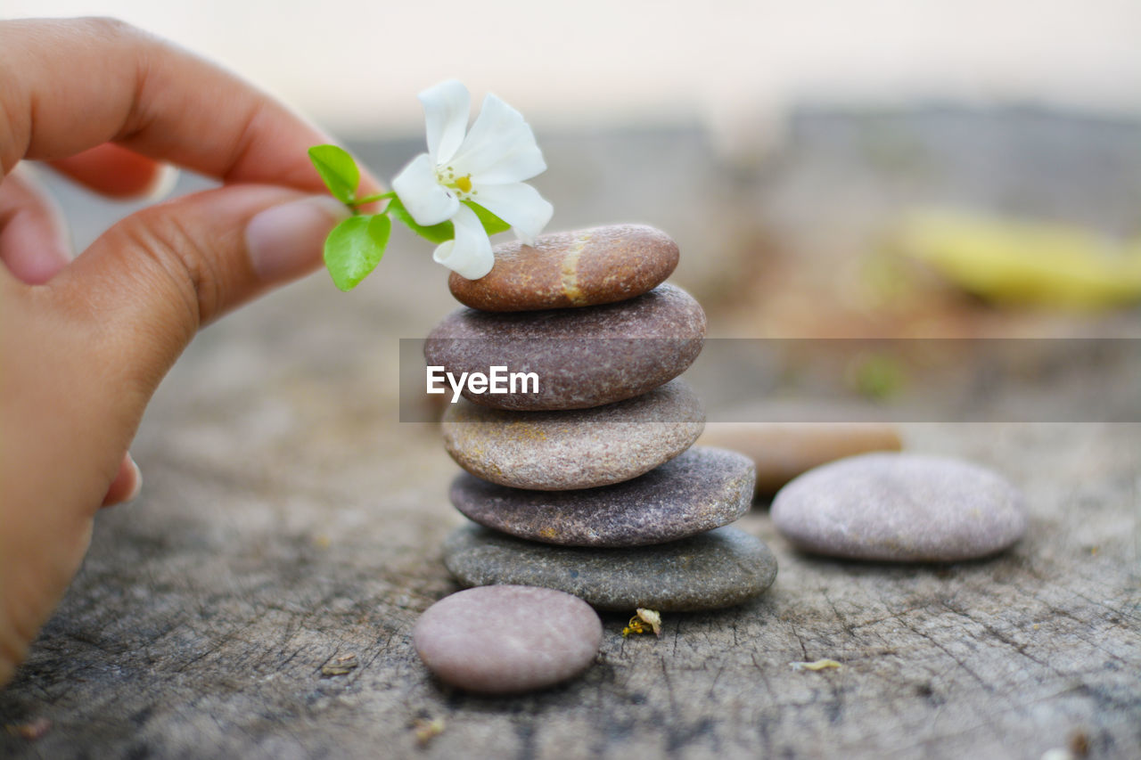 CLOSE-UP OF PERSON HOLDING PEBBLES ON STONE