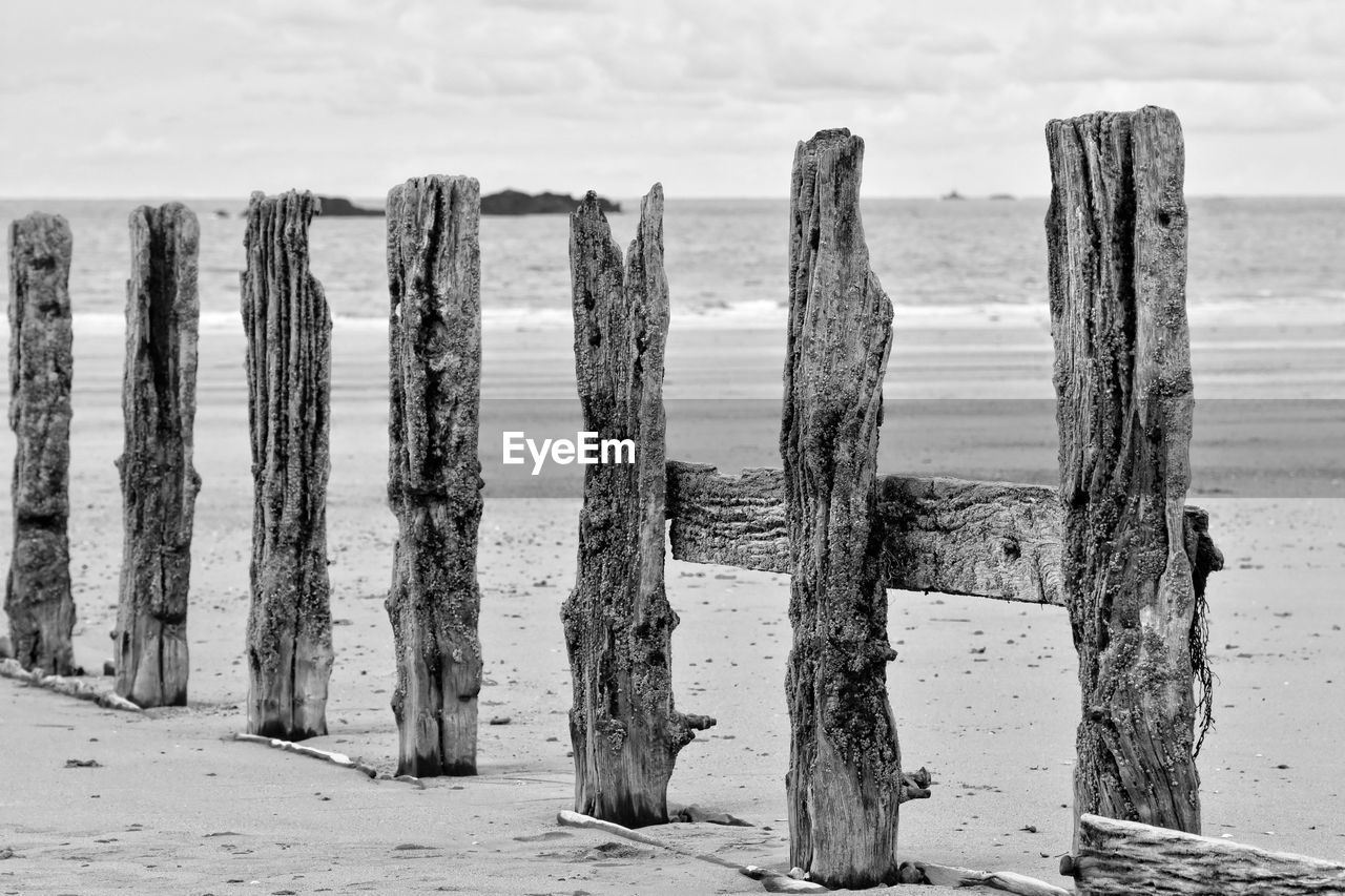 Wooden posts at beach against sky