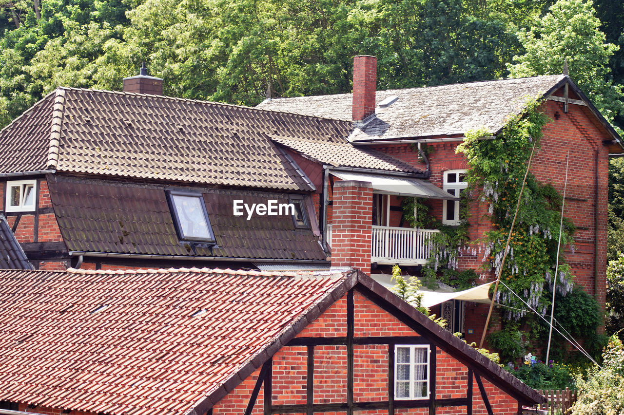 House against trees