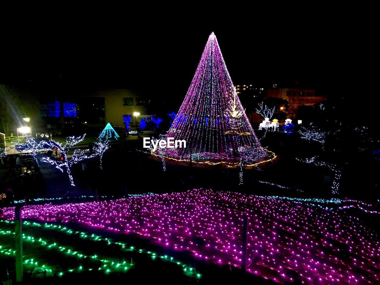 ILLUMINATED CHRISTMAS TREE IN WINTER