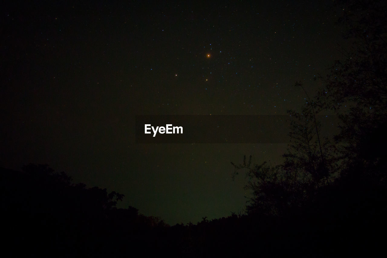 LOW ANGLE VIEW OF TREES AT NIGHT