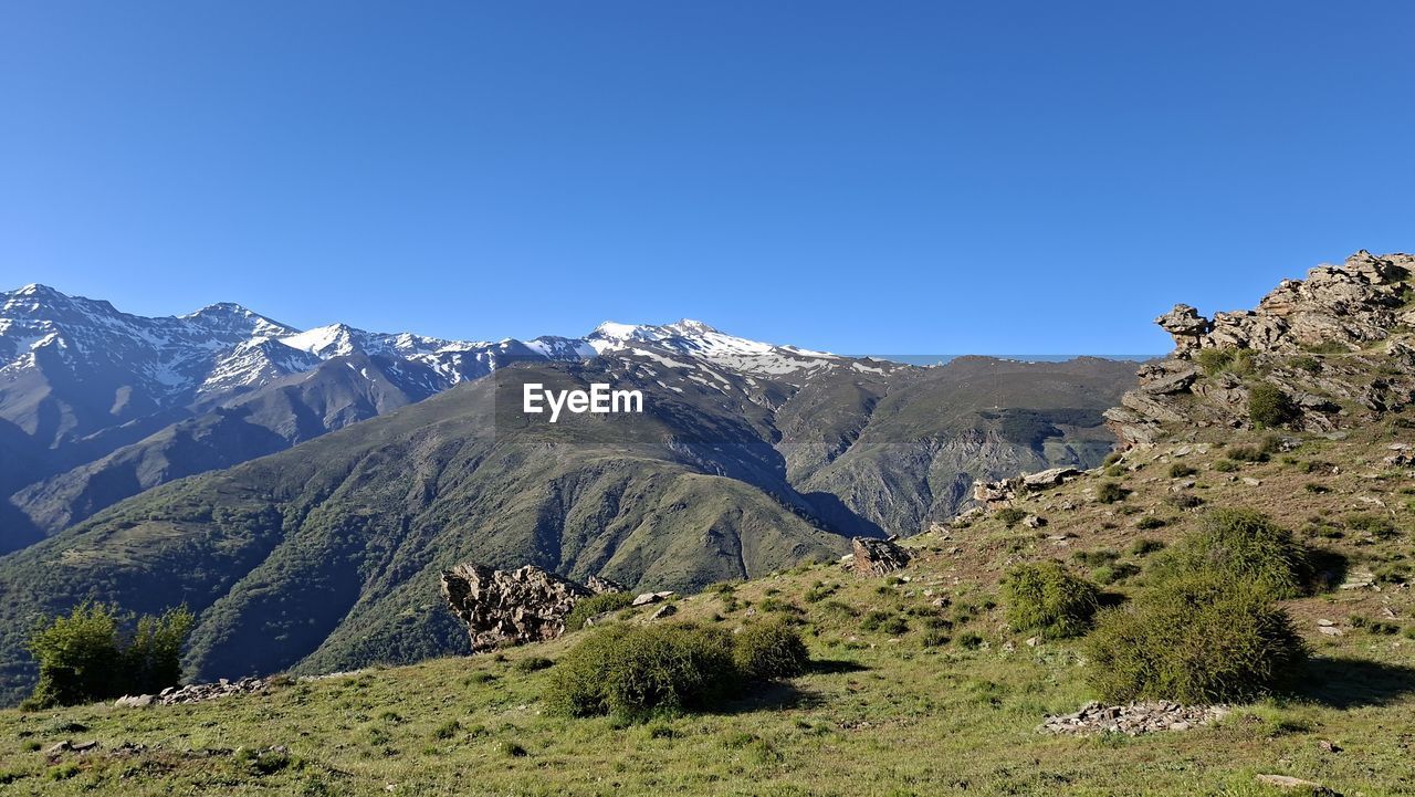 mountain, scenics - nature, environment, landscape, beauty in nature, mountain range, sky, wilderness, nature, adventure, land, clear sky, plant, travel destinations, walking, snow, blue, travel, no people, backpacking, tranquility, ridge, tranquil scene, non-urban scene, mountain pass, tree, coniferous tree, pine tree, pinaceae, cold temperature, grass, mountain peak, sunny, valley, winter, tourism, plateau, outdoors, rock, day, activity, snowcapped mountain, leisure activity, idyllic, pine woodland, forest, meadow, green, sunlight