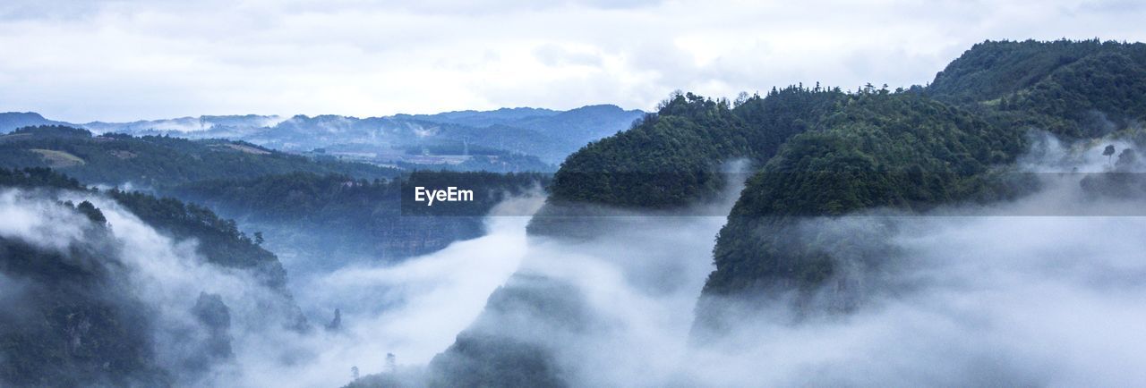 PANORAMIC VIEW OF WATERFALL IN FOREST