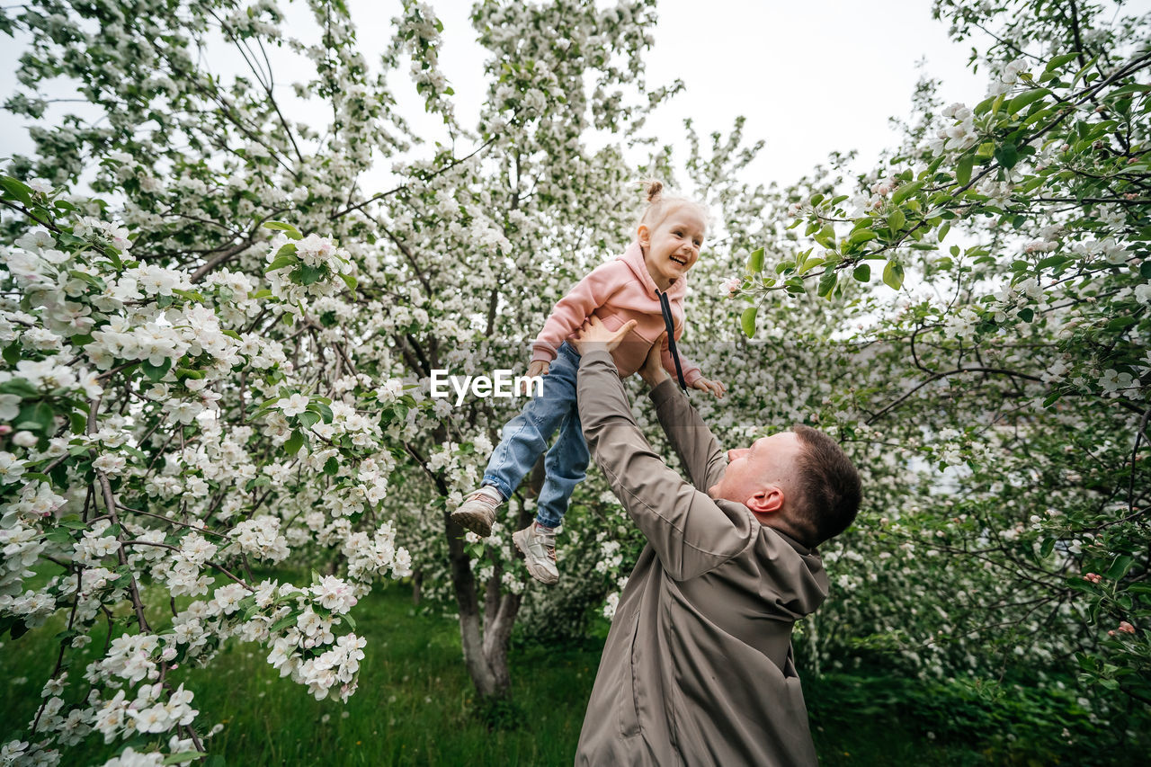 Dad holds a joyful baby daughter in his arms in a garden with a blooming apple tree