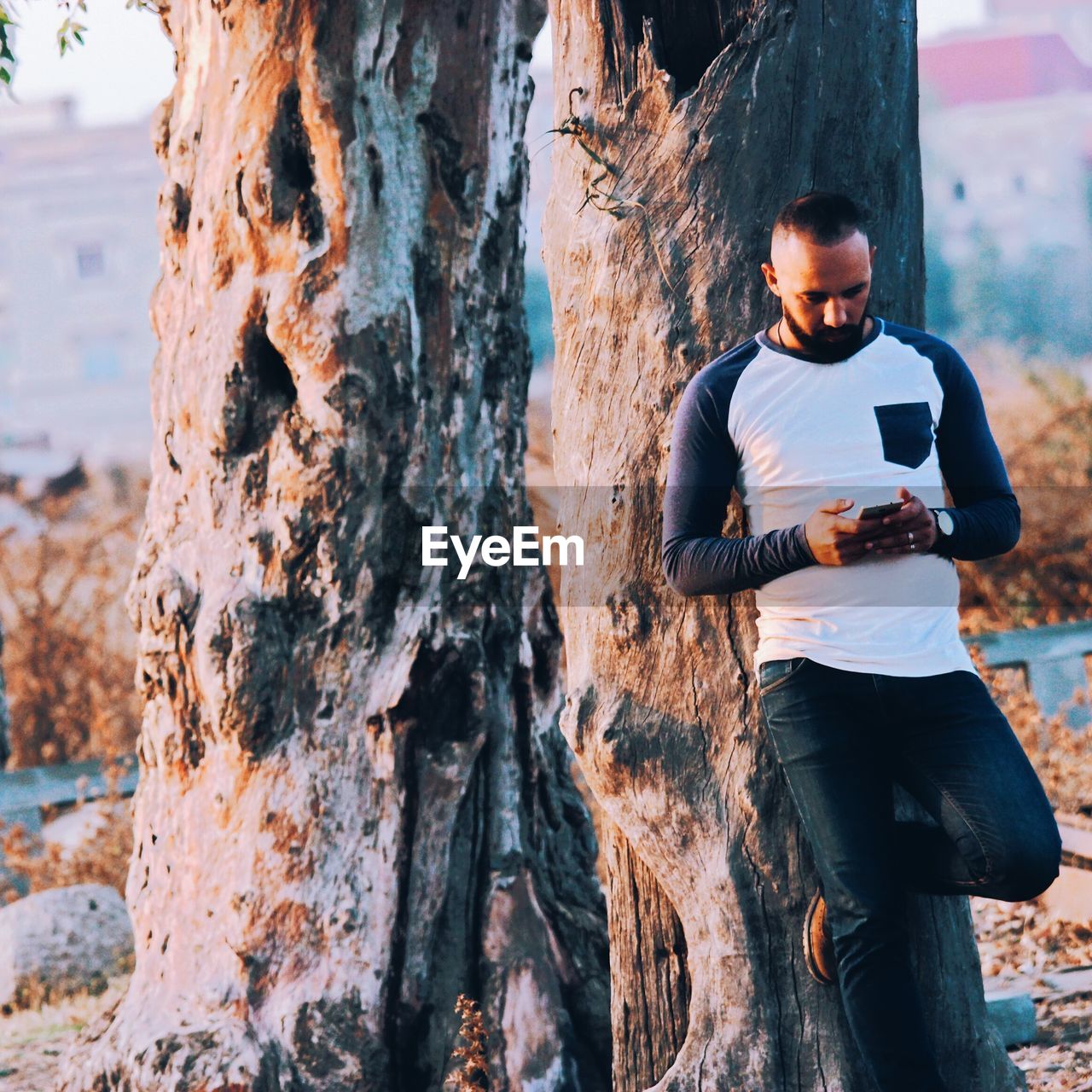 Young man using phone while standing against tree trunk